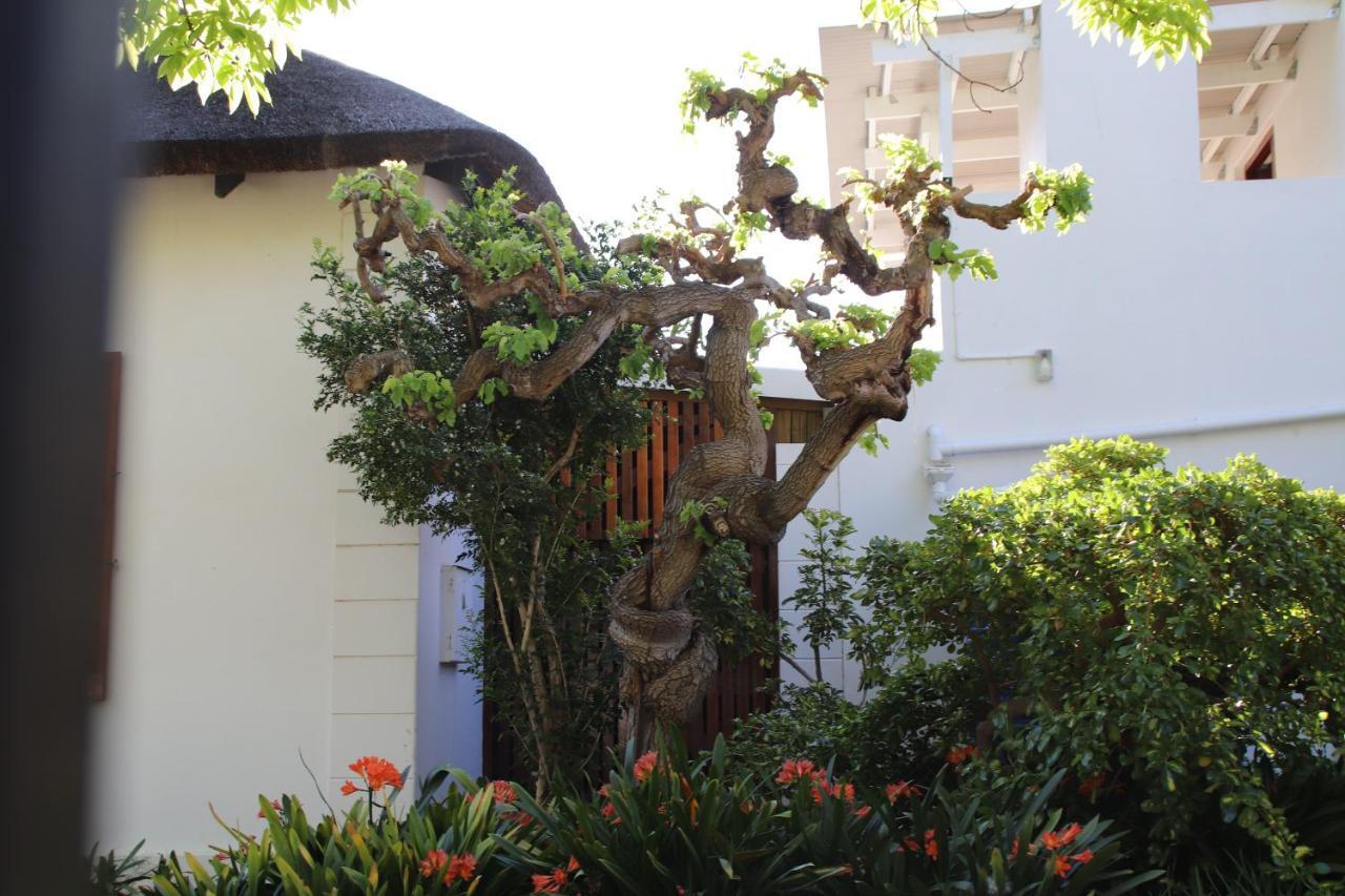 Petal'S Place Robertson Exterior foto